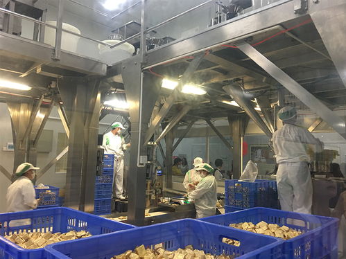 三里人家勁家莊之旅 探訪國(guó)家AAA級(jí)旅游工廠，解鎖游樂園式服務(wù)新體驗(yàn)